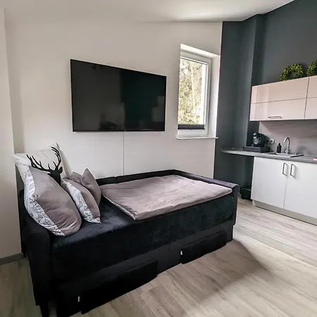 Апартаменты Hans Hirsch Вернигероде