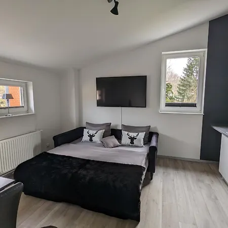 Hans Hirsch فيرنغروده