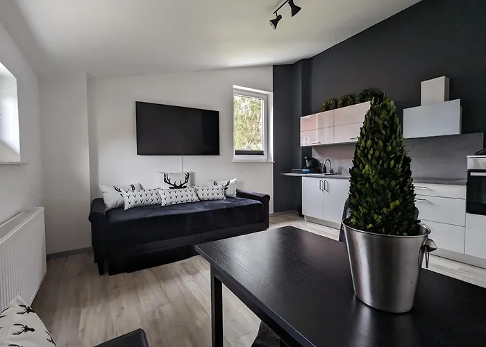 Hans Hirsch Apartment Wernigerode