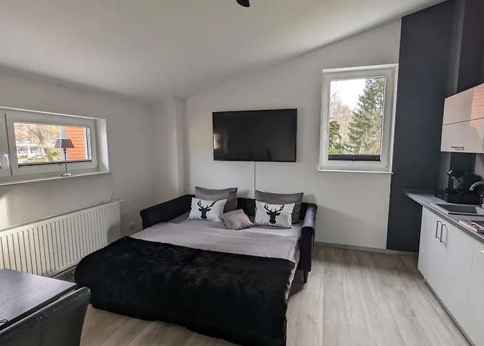 Hans Hirsch Wernigerode